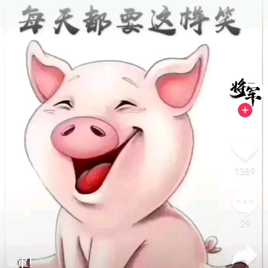 lin278115613