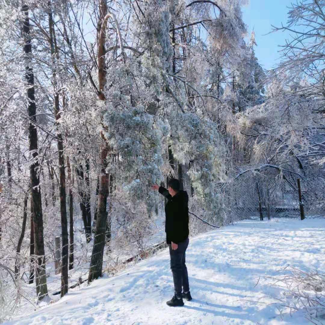 东北山野菜