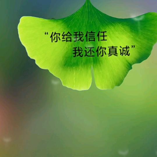 心灵~归宿