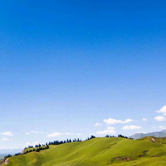 开开心心每一天