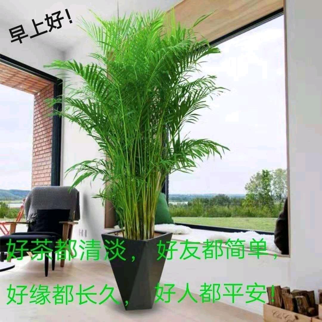 粗心大妈～蓉