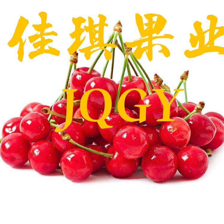 佳琪果业