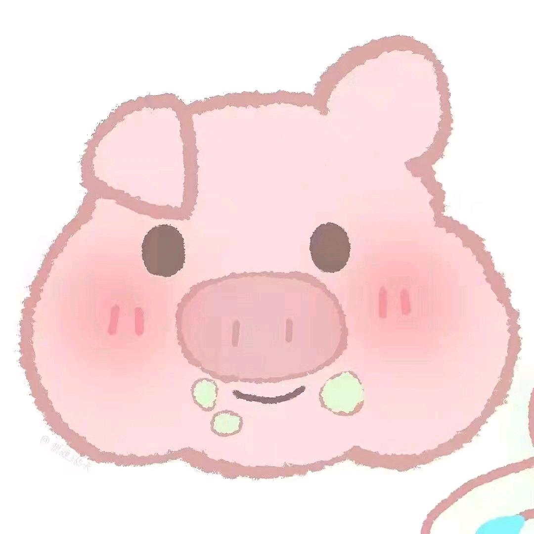 帅猪