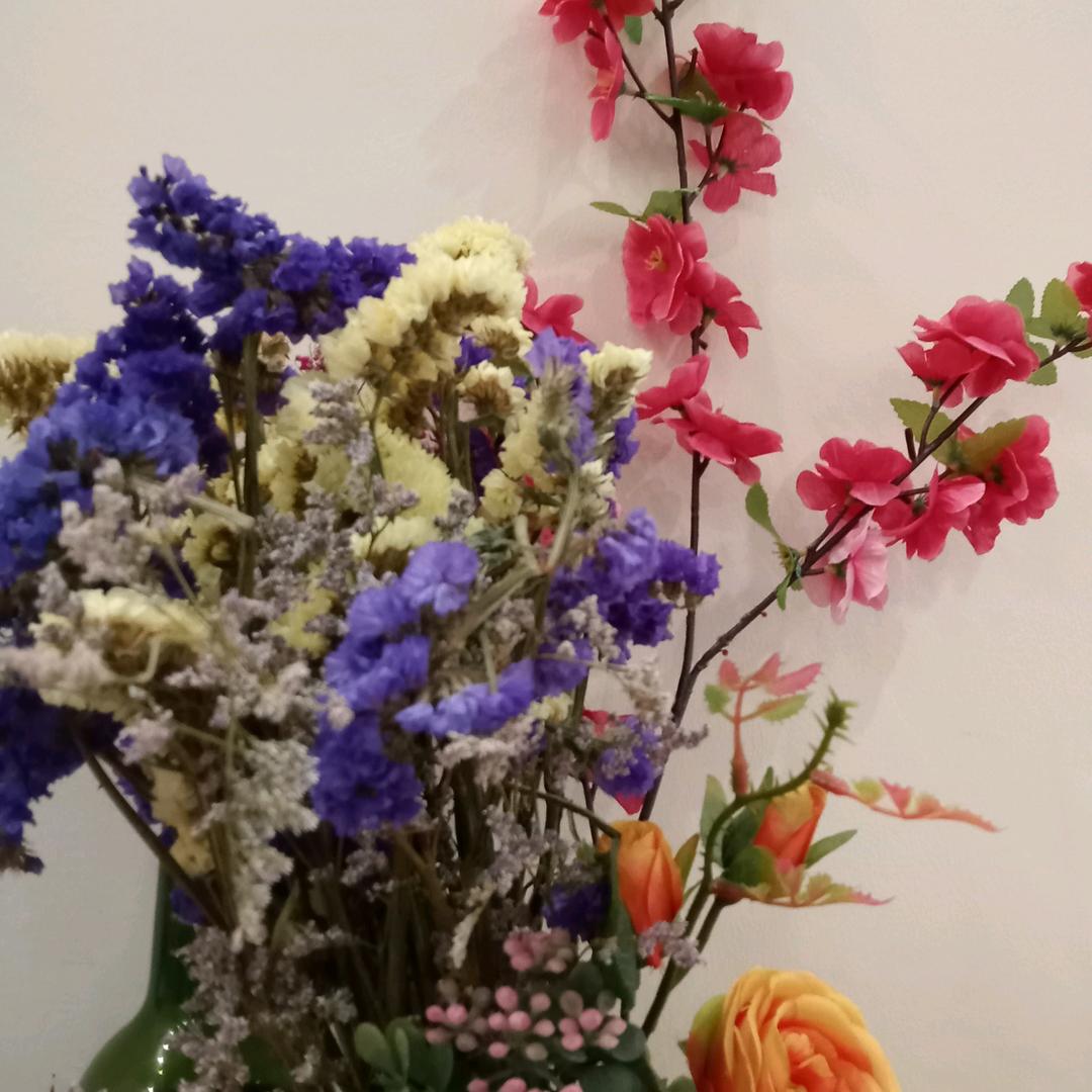 玉兰花