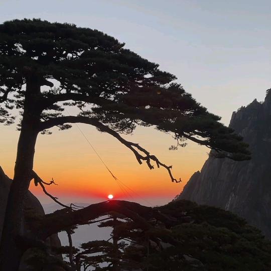山青水秀