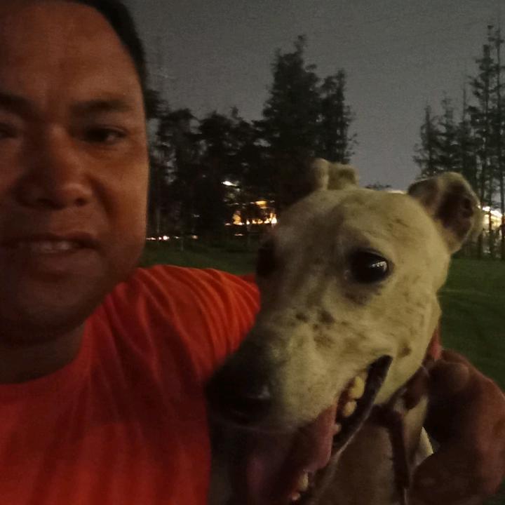 法海专业拆除各种窗户回收