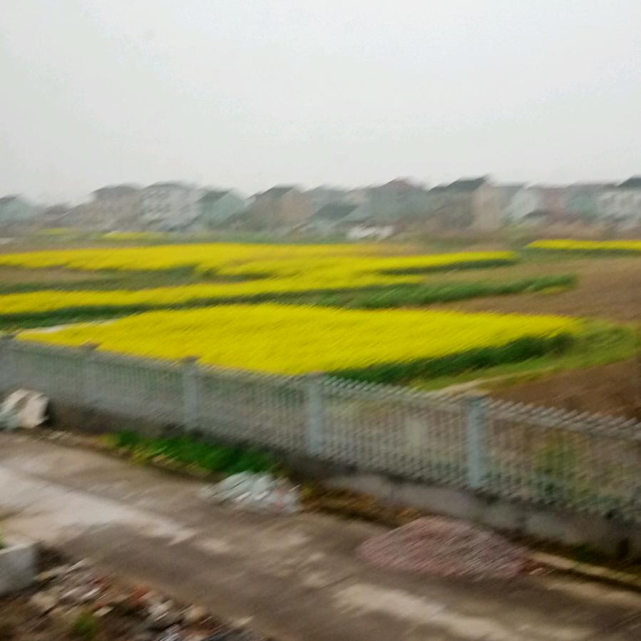 俞华根