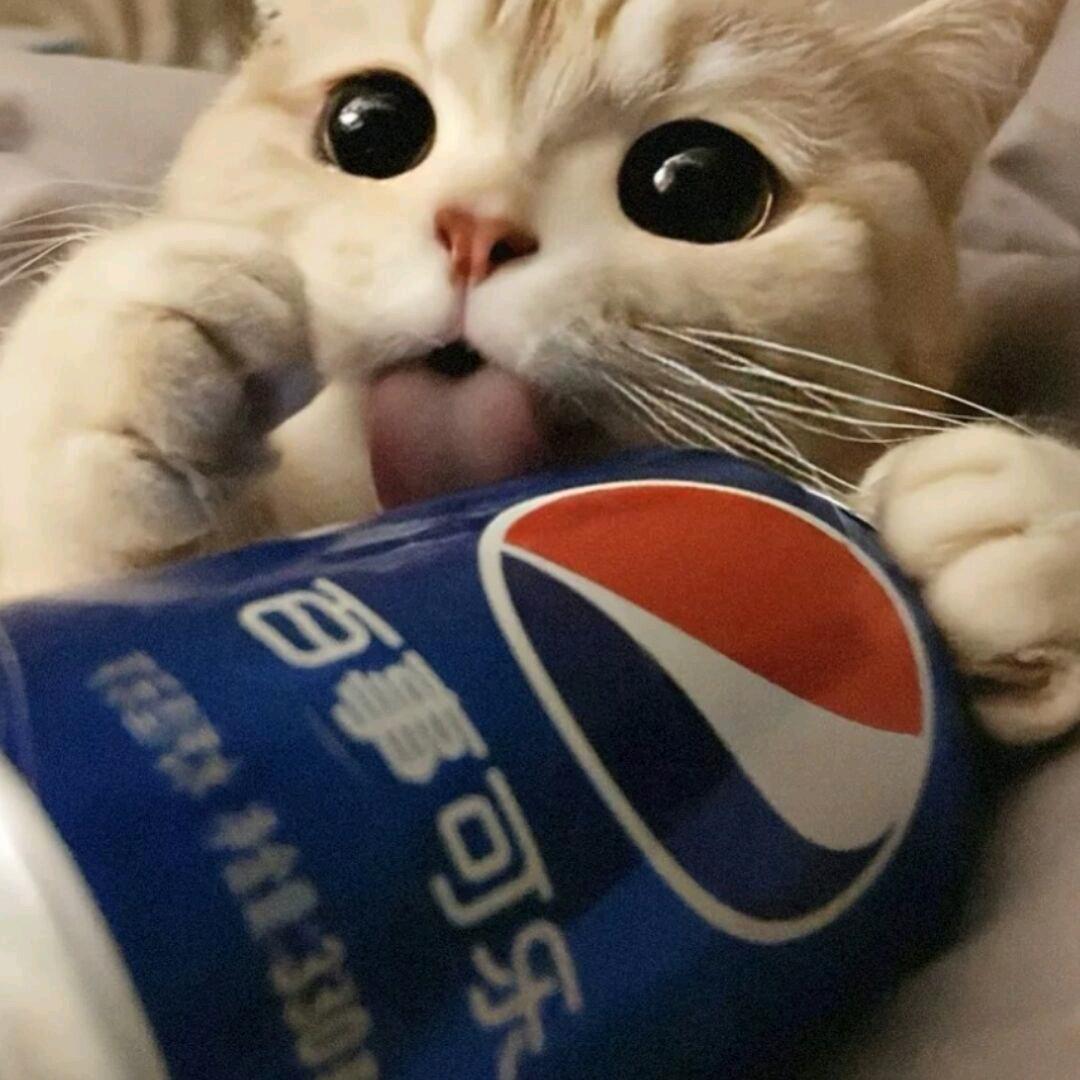 千里来相会