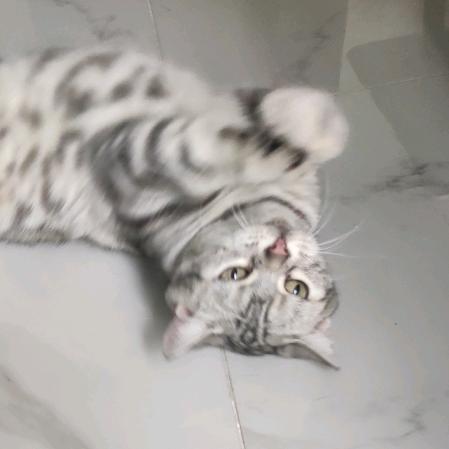 爱乐寻梦