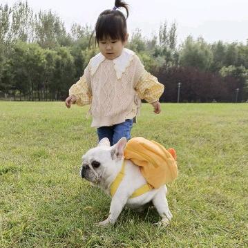密码犬舍