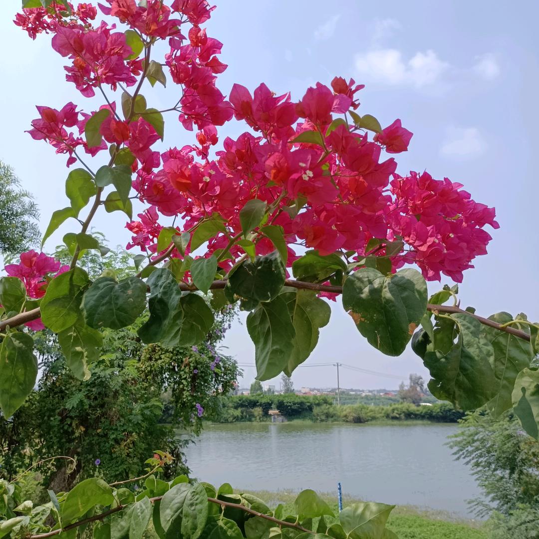 有缘总会遇见！