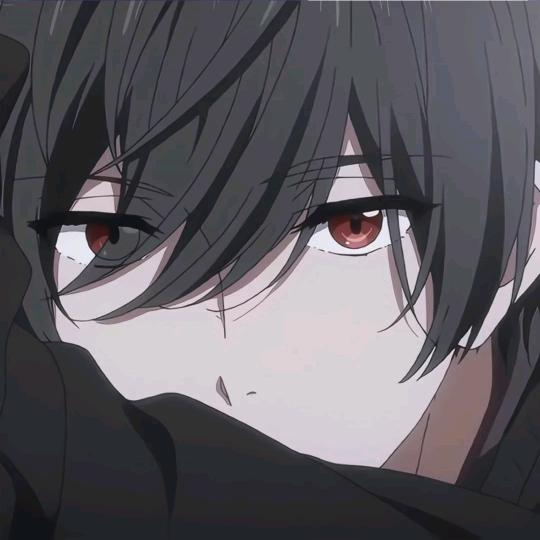 鸿