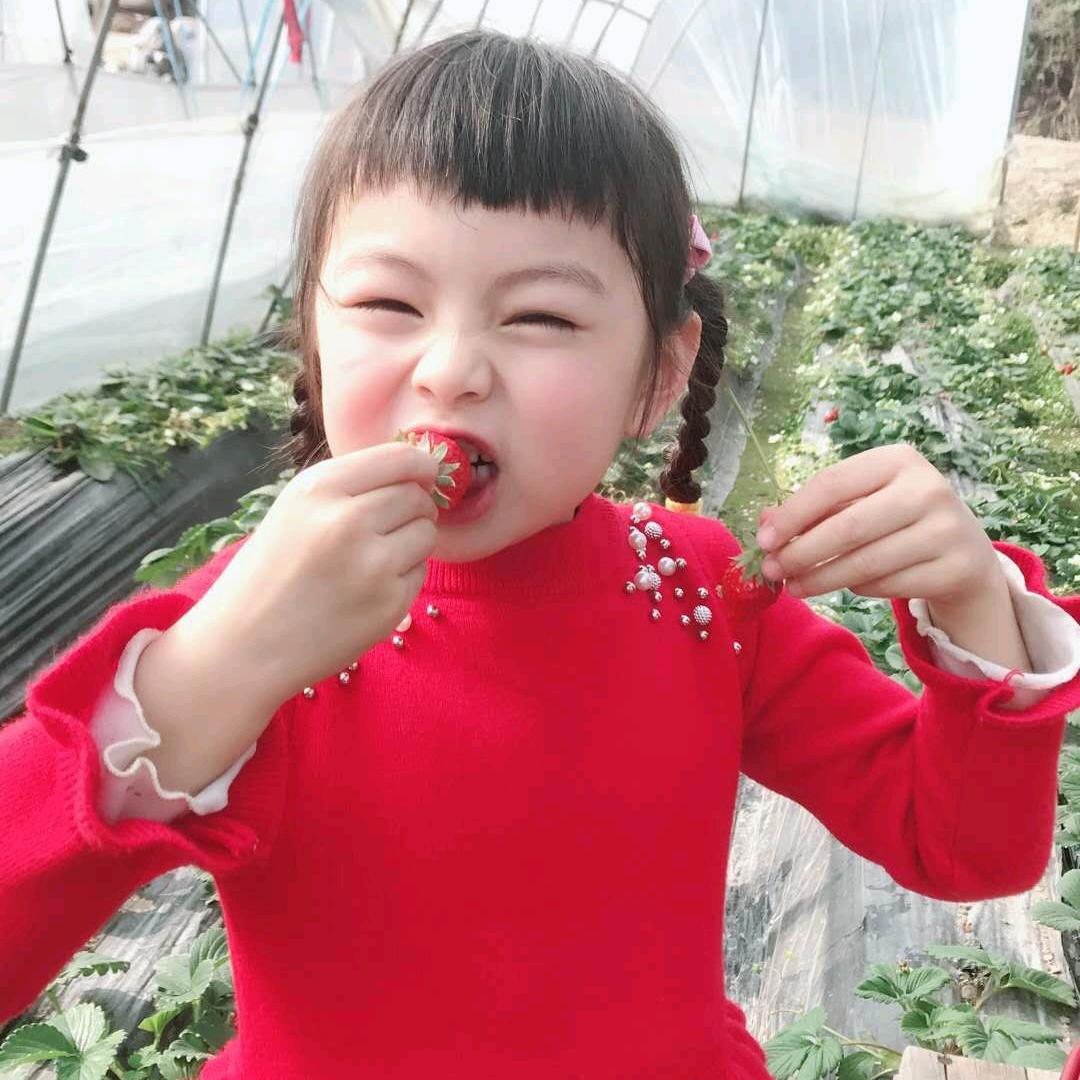 佳佳乐乐