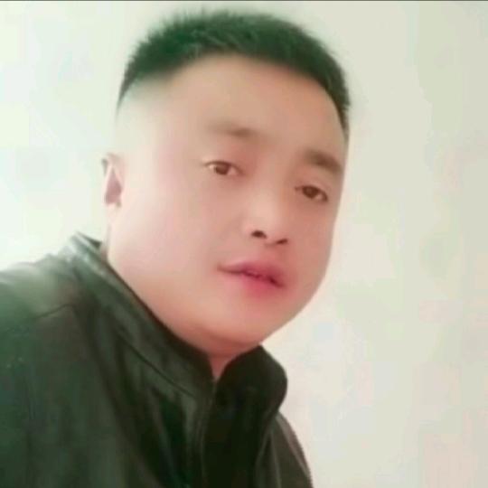 虎说霸道