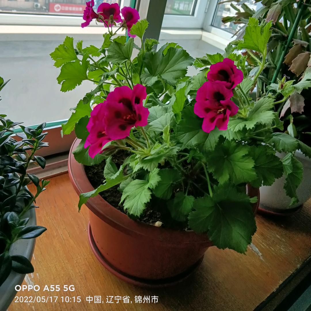 用户2639423407599