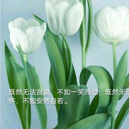 🌷心~静🌷
