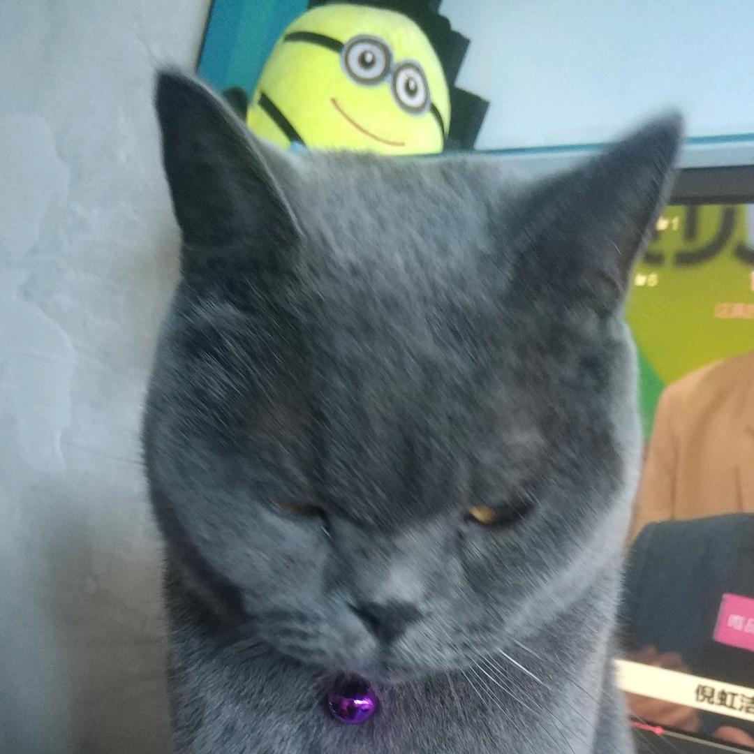 吃不饱的烧麦麦