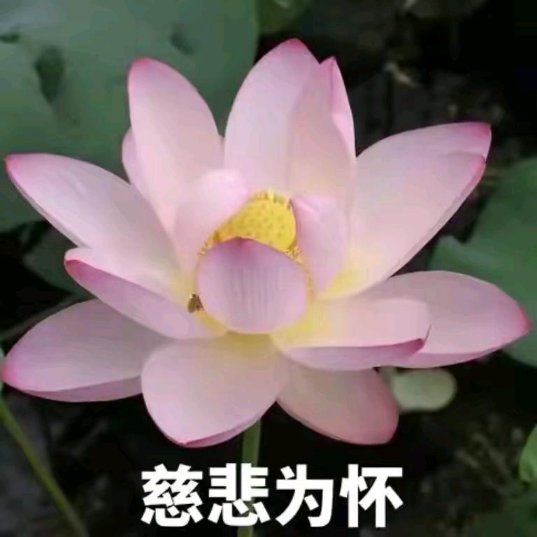 在西伯利亚猛击河鱼