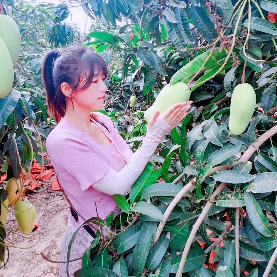山西农科水果