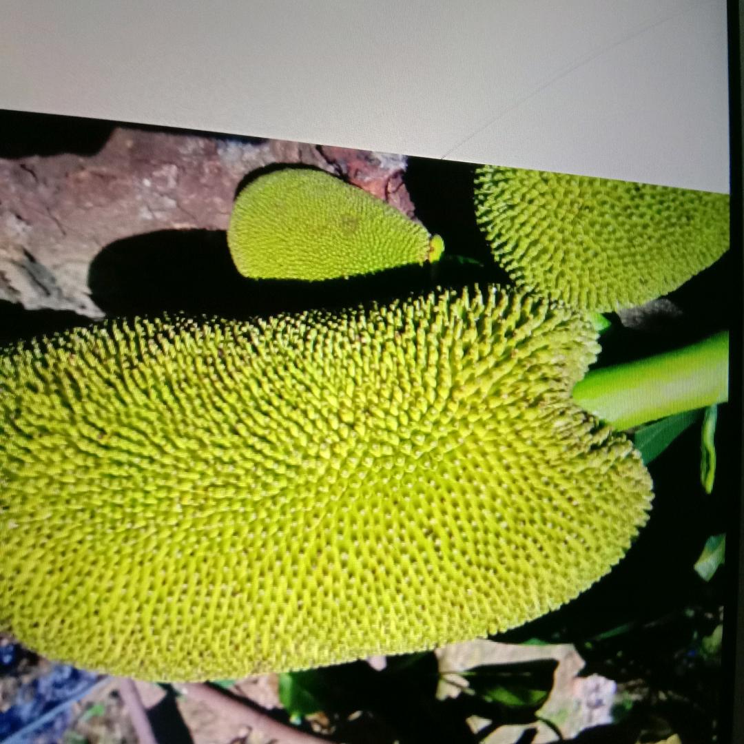 风云