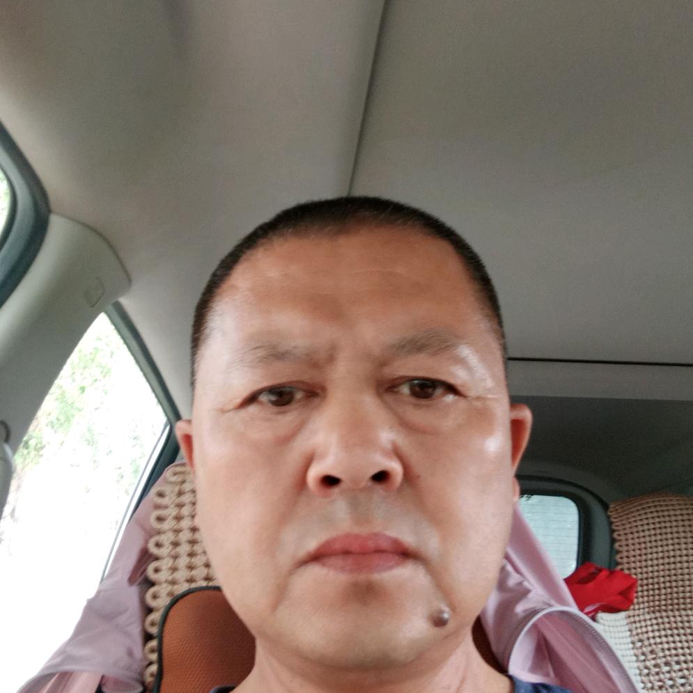 金凯君子