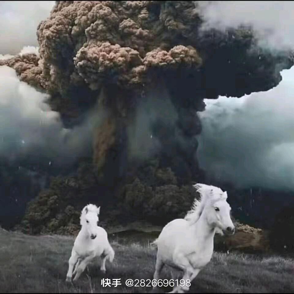 袁总