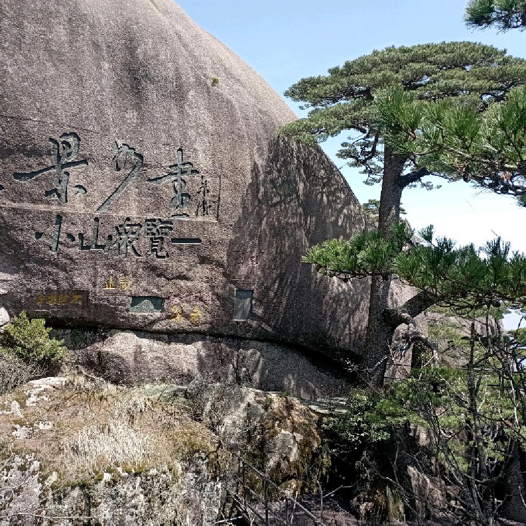 靳阿康