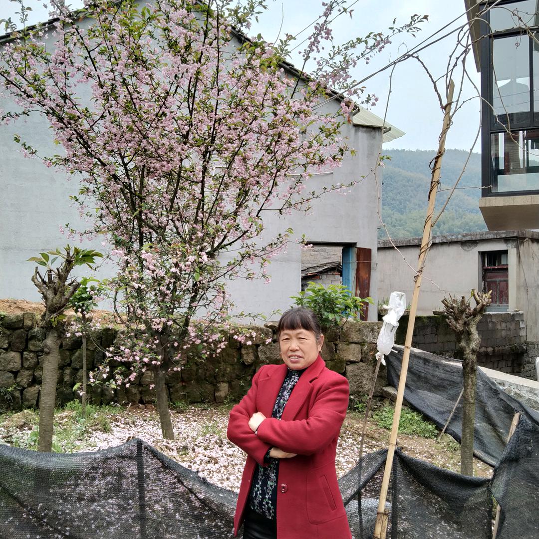 余姚