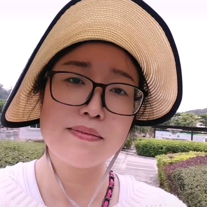 凯西西的生活