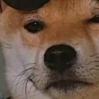 ☞永强☜