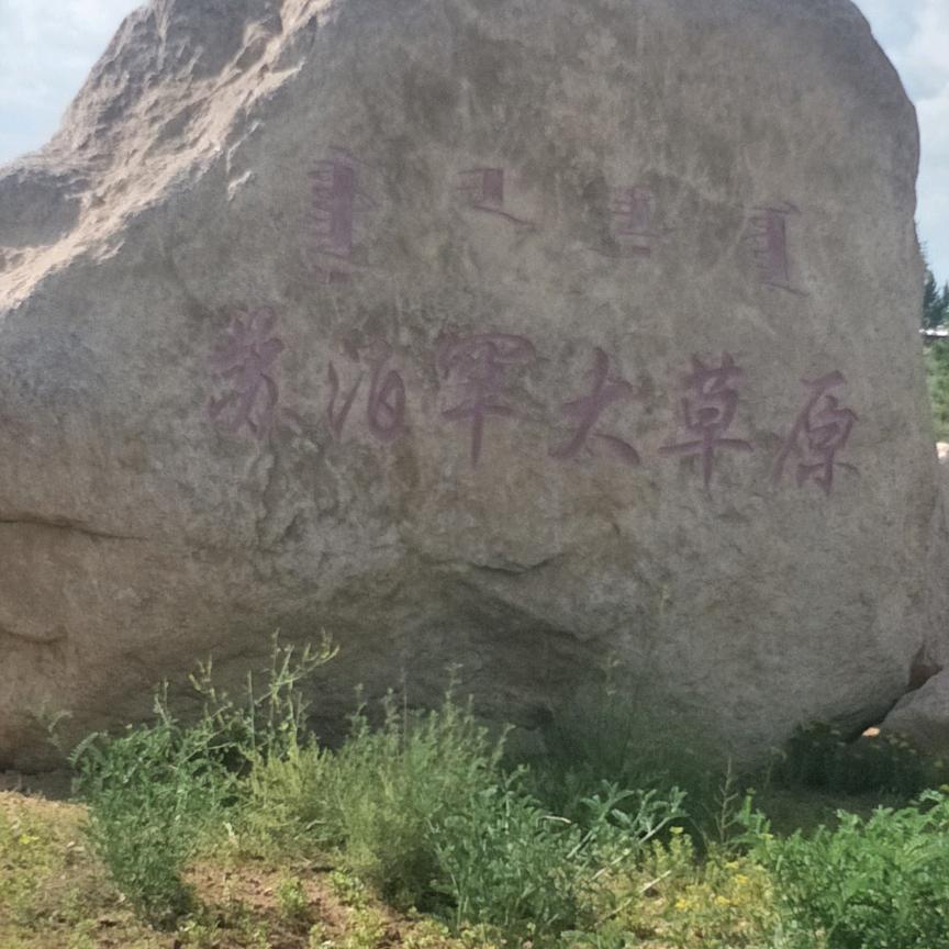 雨加雪