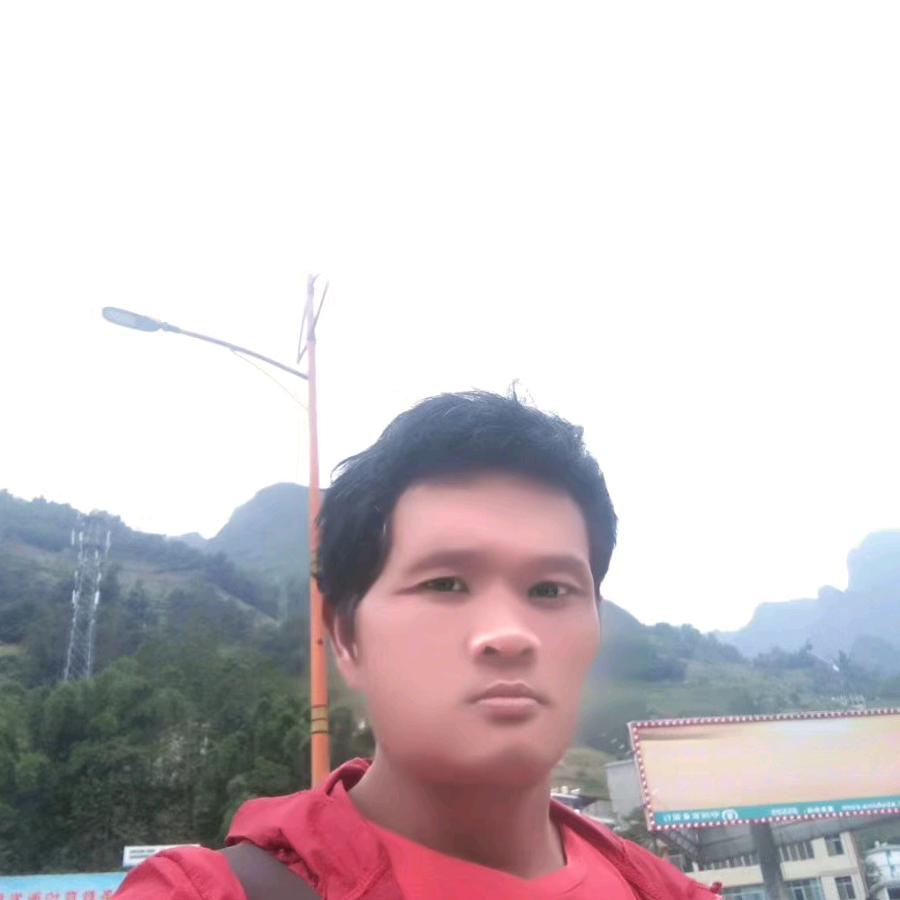 雪松，云南怒江