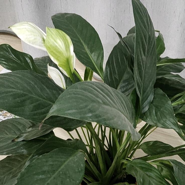 每一天，为明天★