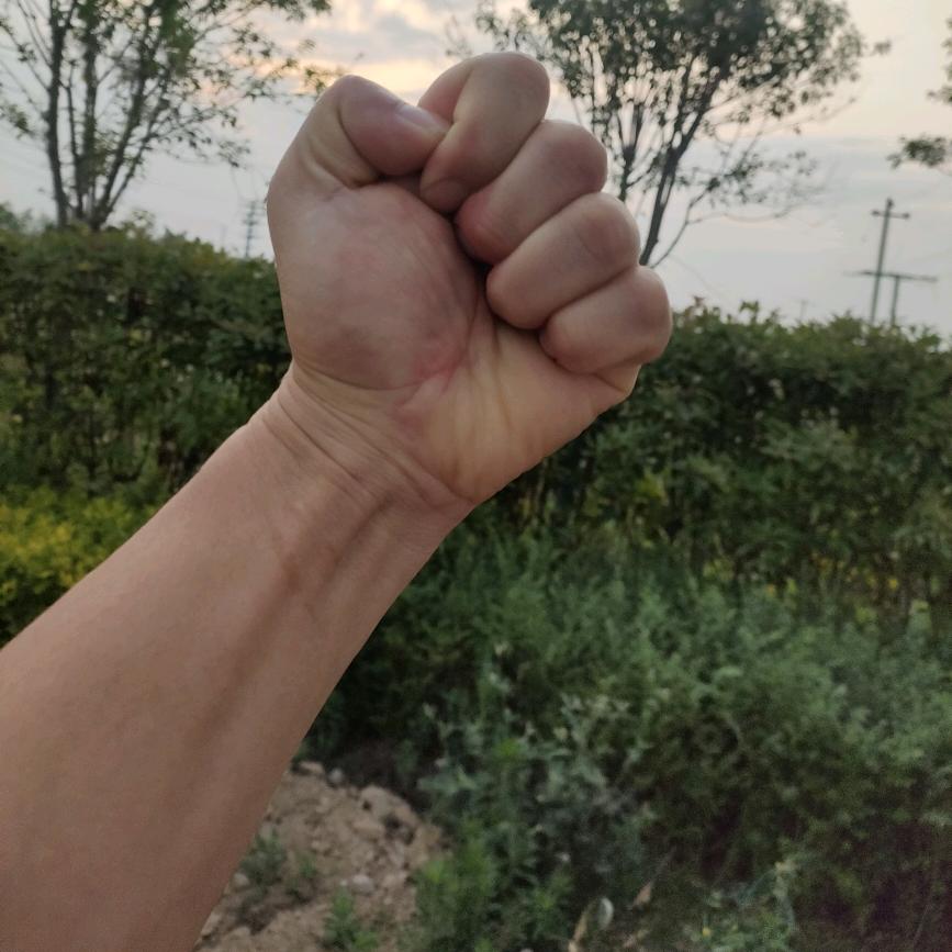 岁月如歌，大蒜收购