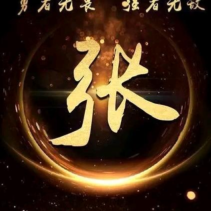 张少莊主