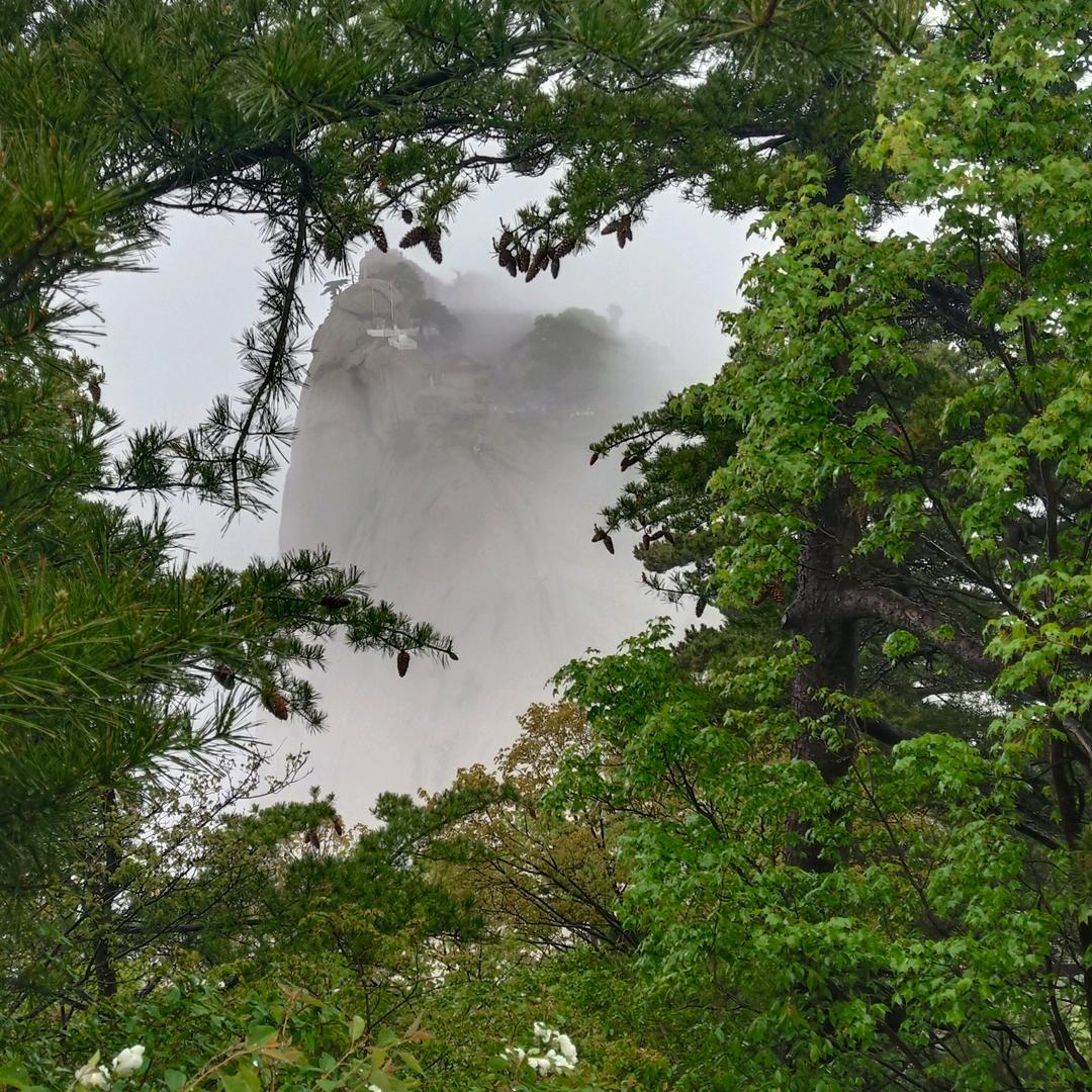 信阳珍珠岩