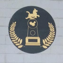 忘记过去，期待将来