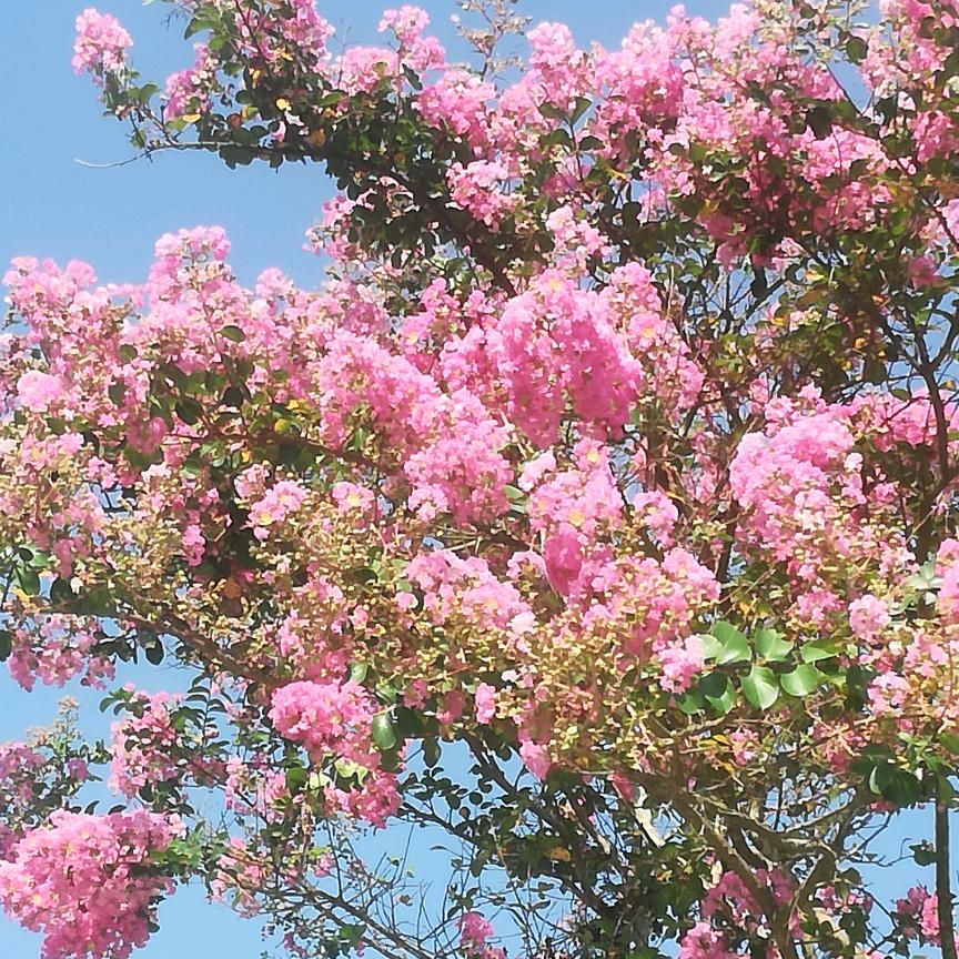 走自己的路，别人爱咋说就咋说