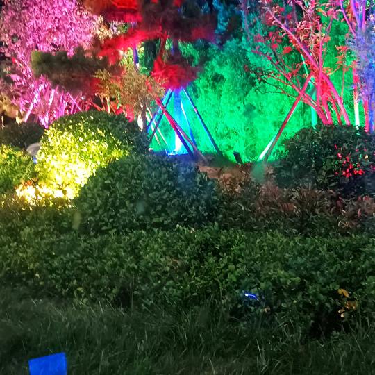 一起看日出