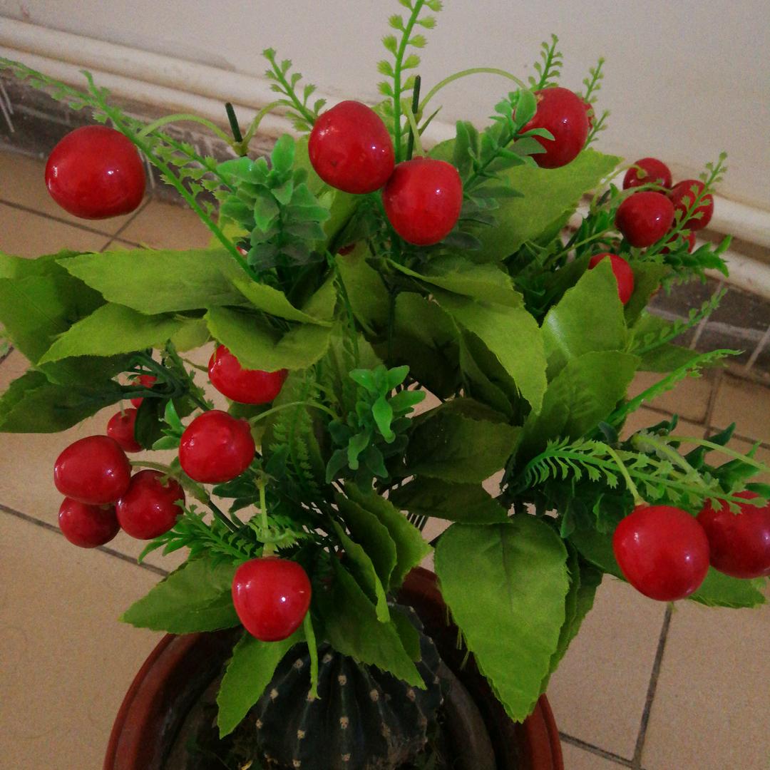 回忆คิดถึง