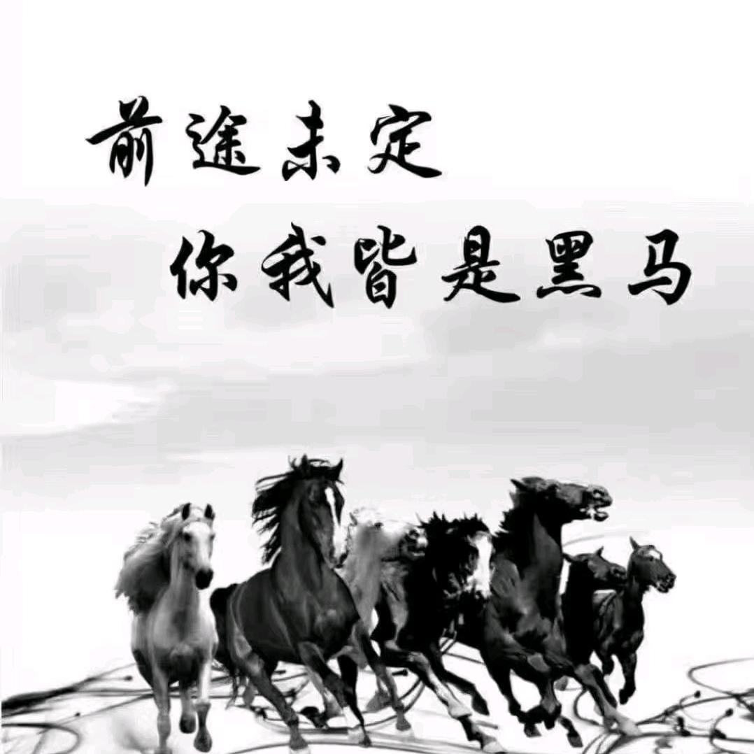 无可代替