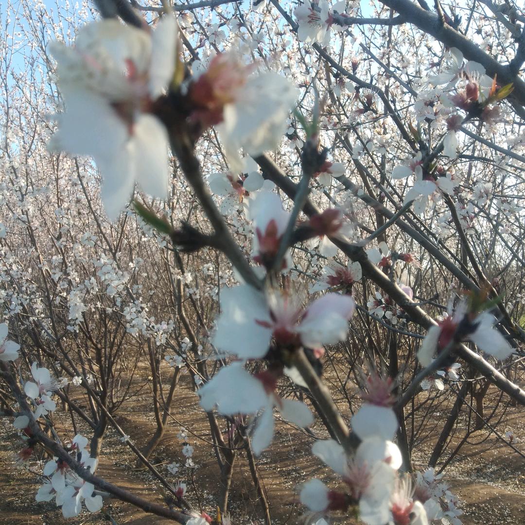 人生路🚶🏻‍♂️