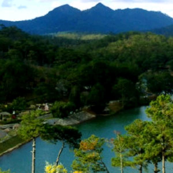 开着拖拉机上高速