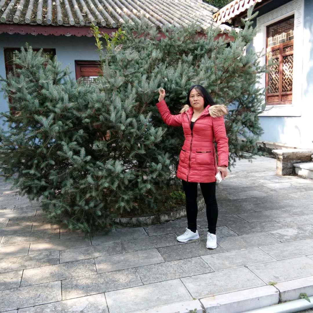 青春永驻