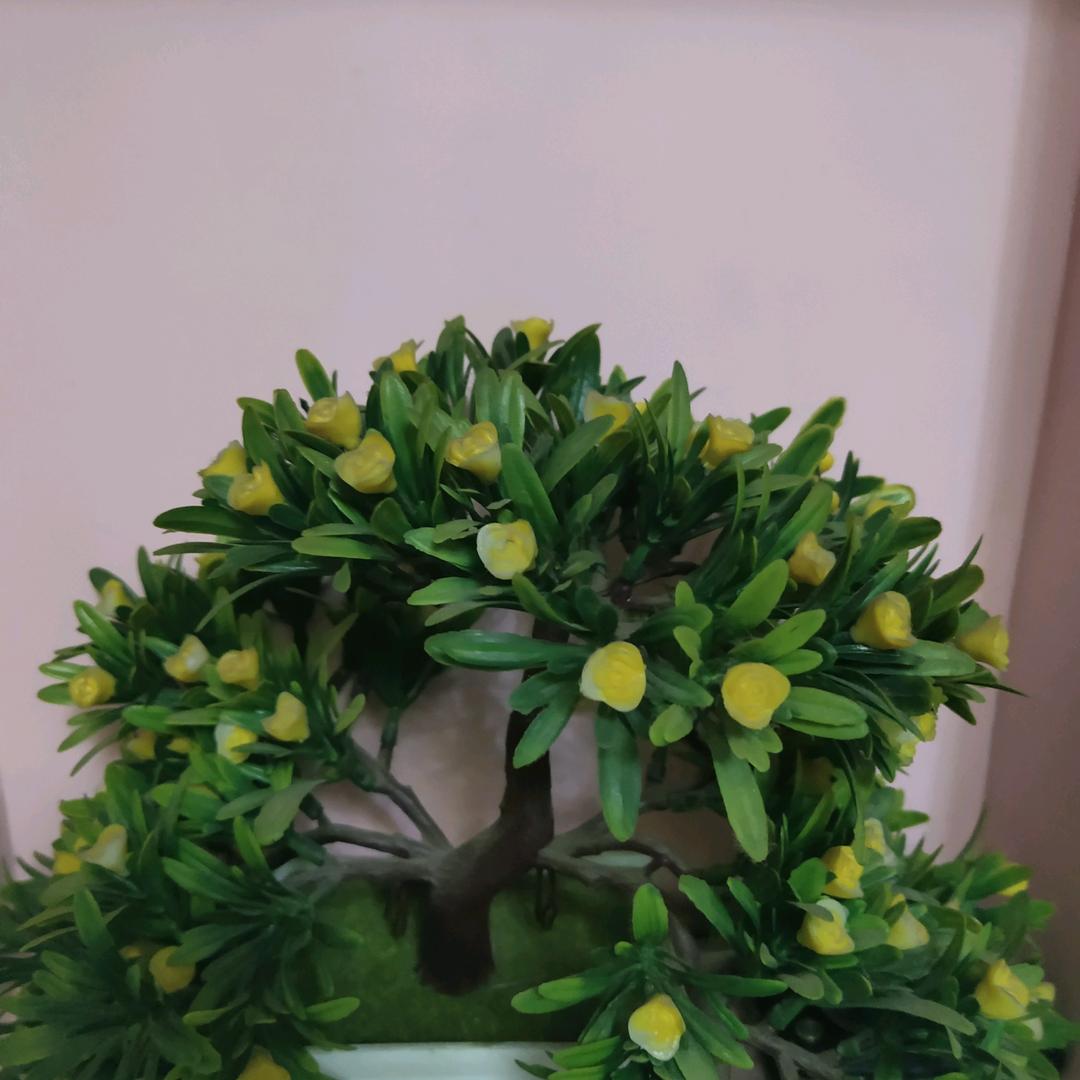 向往开心(霞姐)