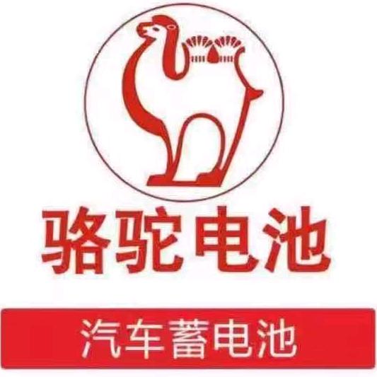 怀化骆驼蓄电池总代