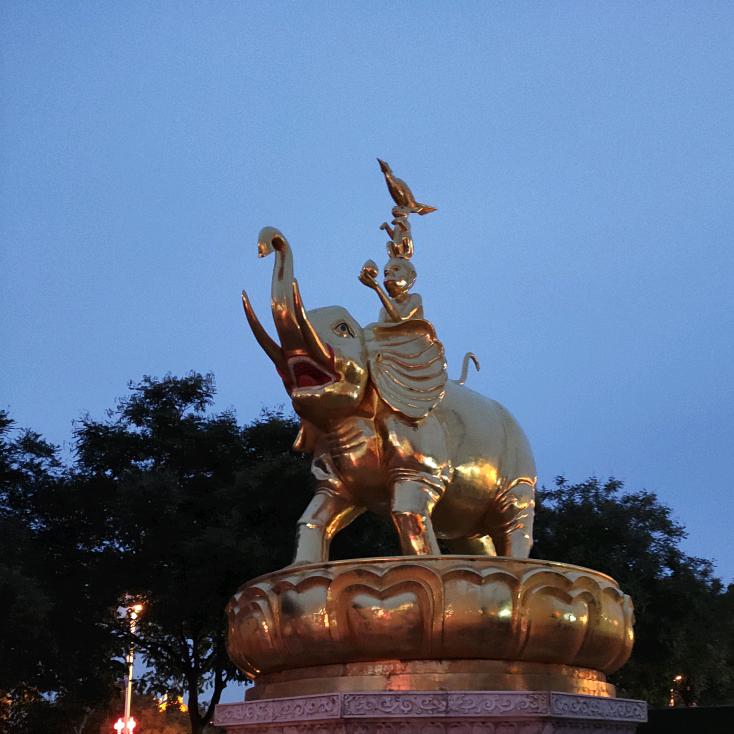 都、都、抖来看