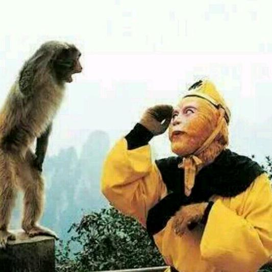 清风扶明月