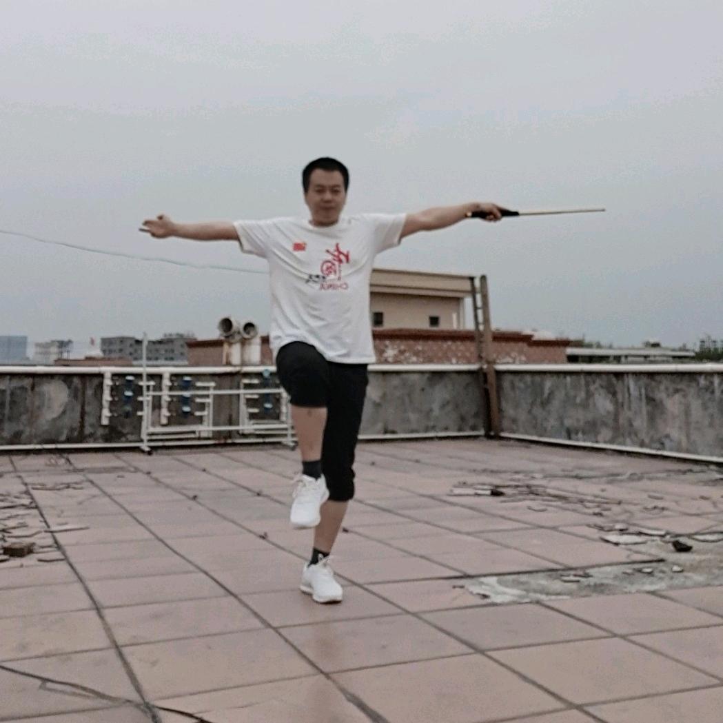 赵大侠(侠之大者，为国为民)