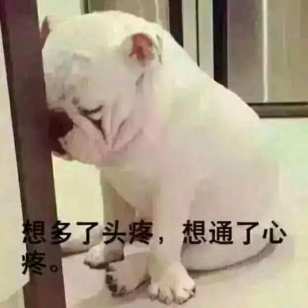 ，小丑